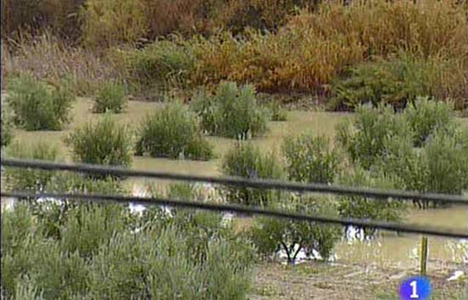 Las riadas en Jaén han dejado a 25 mil personas sin agua | Ver