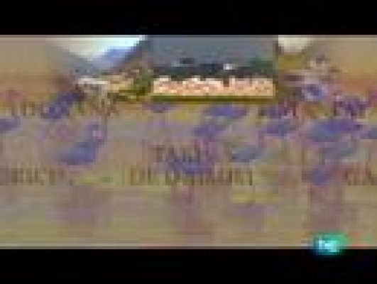 Espacios naturales - Doñana