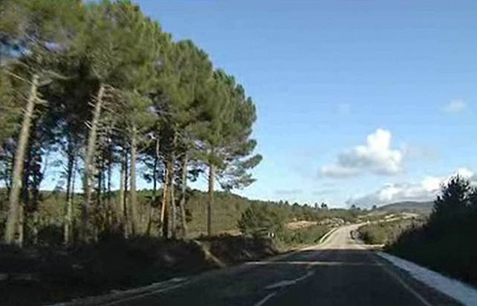 En algunas carreteras hay verdadero riesgo de chocar con un ciervo o jabalí - Ciencia y tecnología en Rtve.es | Ver