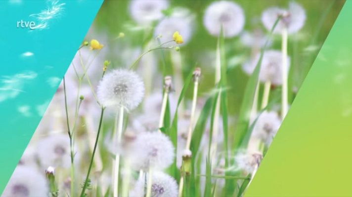 El tiempo - Probabilidad de chubascos localmente fuertes en el norte de Galicia y oeste de Asturias