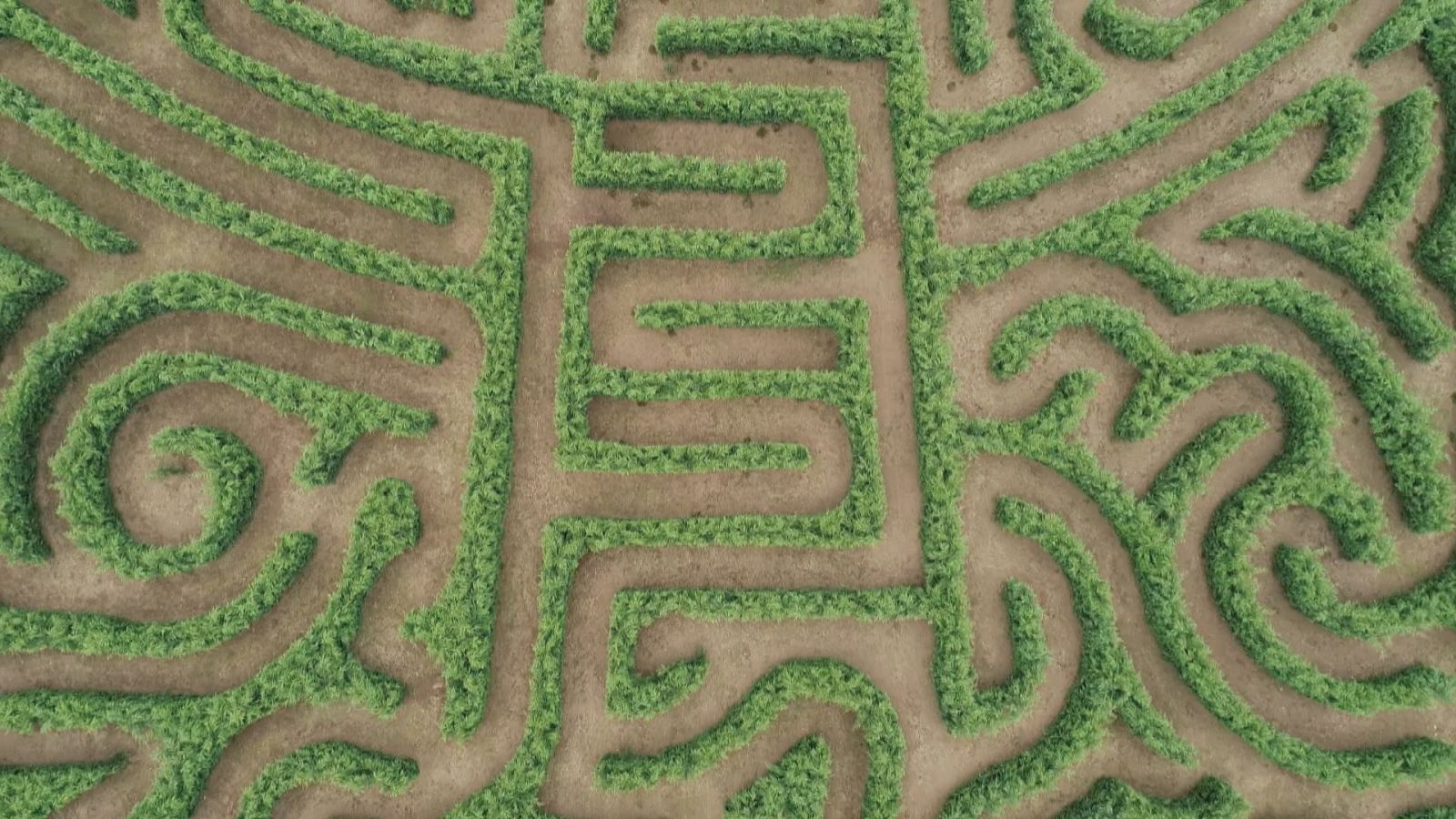 Labirinto de Breoghán