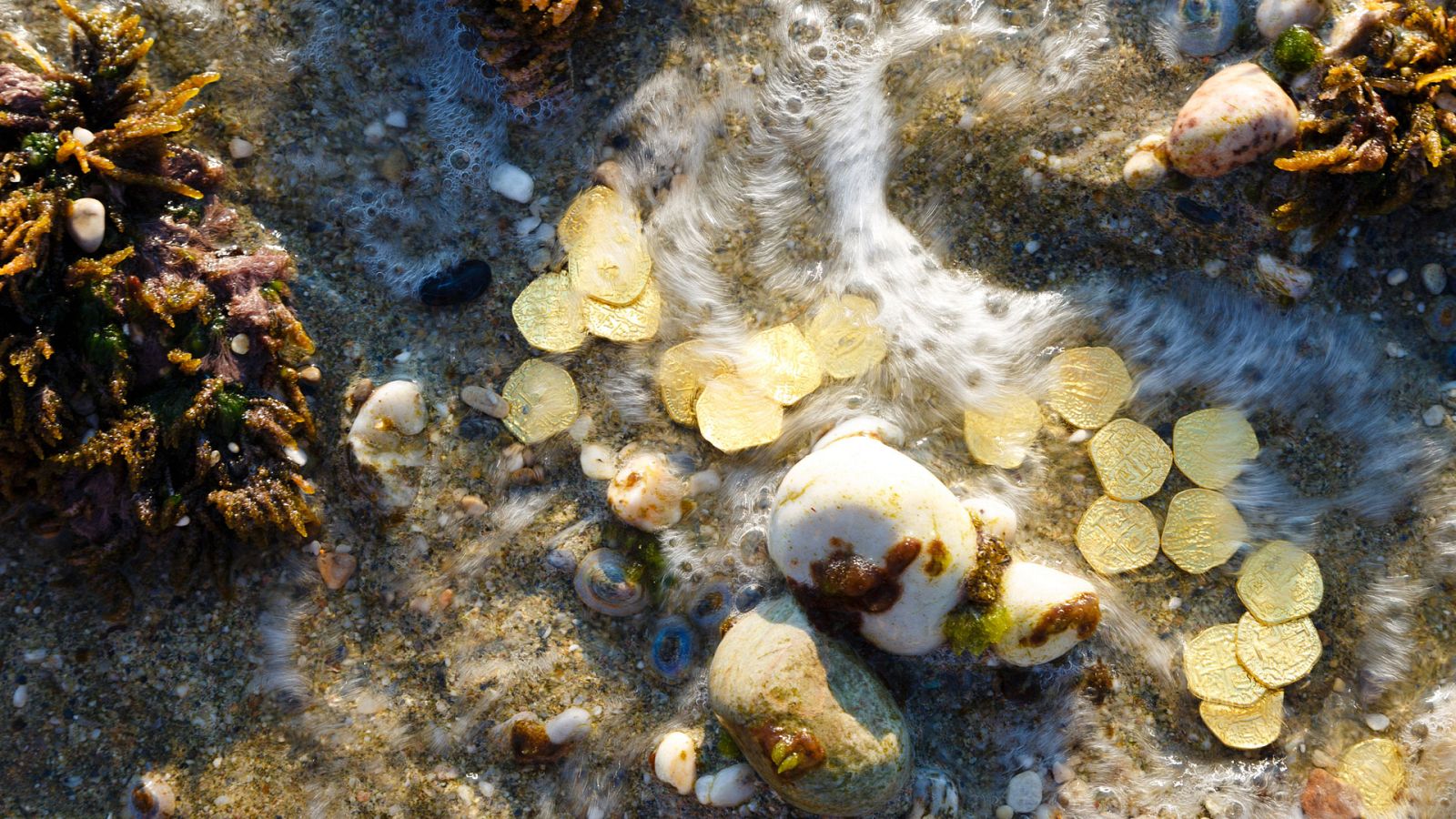 Somos documentales - Conflicto bajo el mar - ver ahora