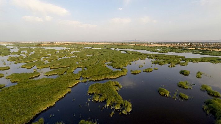 El bosque protector - Parques nacionales. 100 años de historia