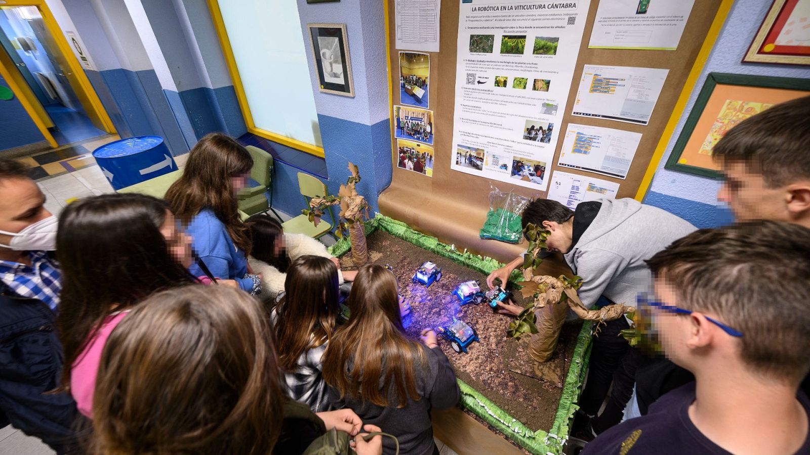 La educación por competencias, sin exámenes ni asignaturas | Ver