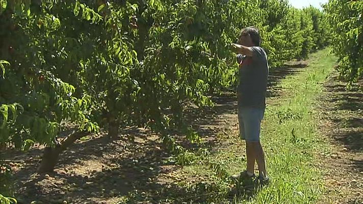 Agrosfera - Agrosfera - 04/06/22