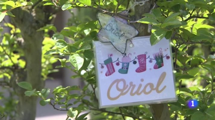 L'Informatiu - Gestionar el dol perinatal