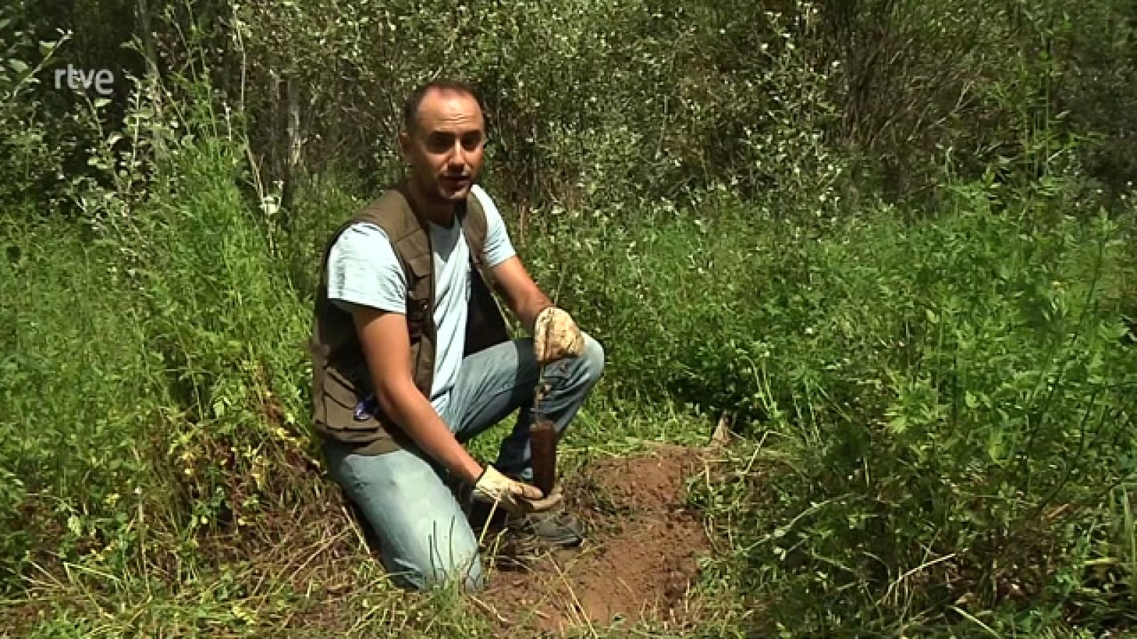 Aquí hay trabajo - FP de campo - ver ahora