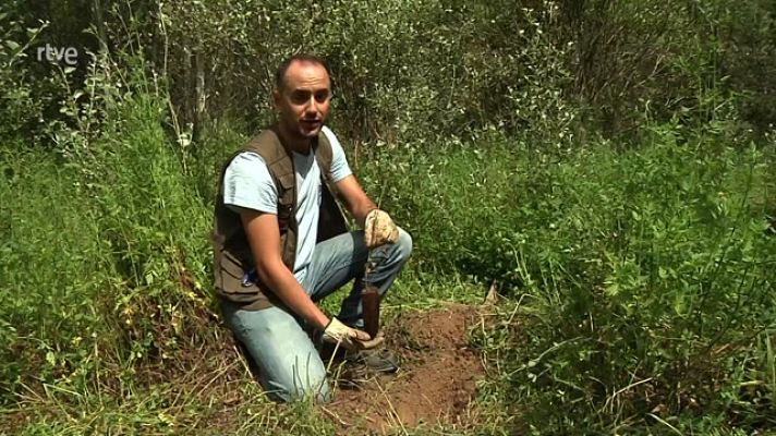 Aquí hay trabajo - FP de campo