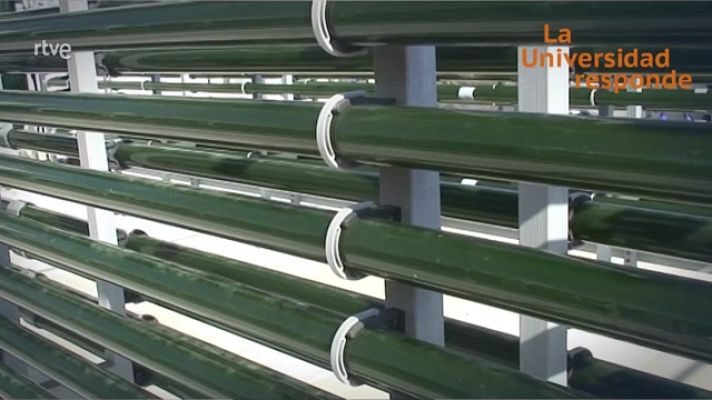 La aventura del Saber - ¿Qué son y para qué sirven las microalgas?