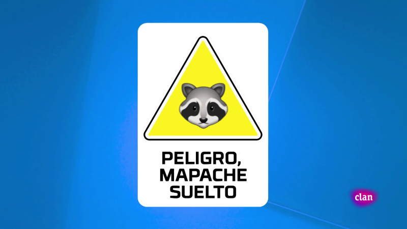 'Est� mapachando' - Pictogrameando y m�s - Aprendemos en Clan | Ver