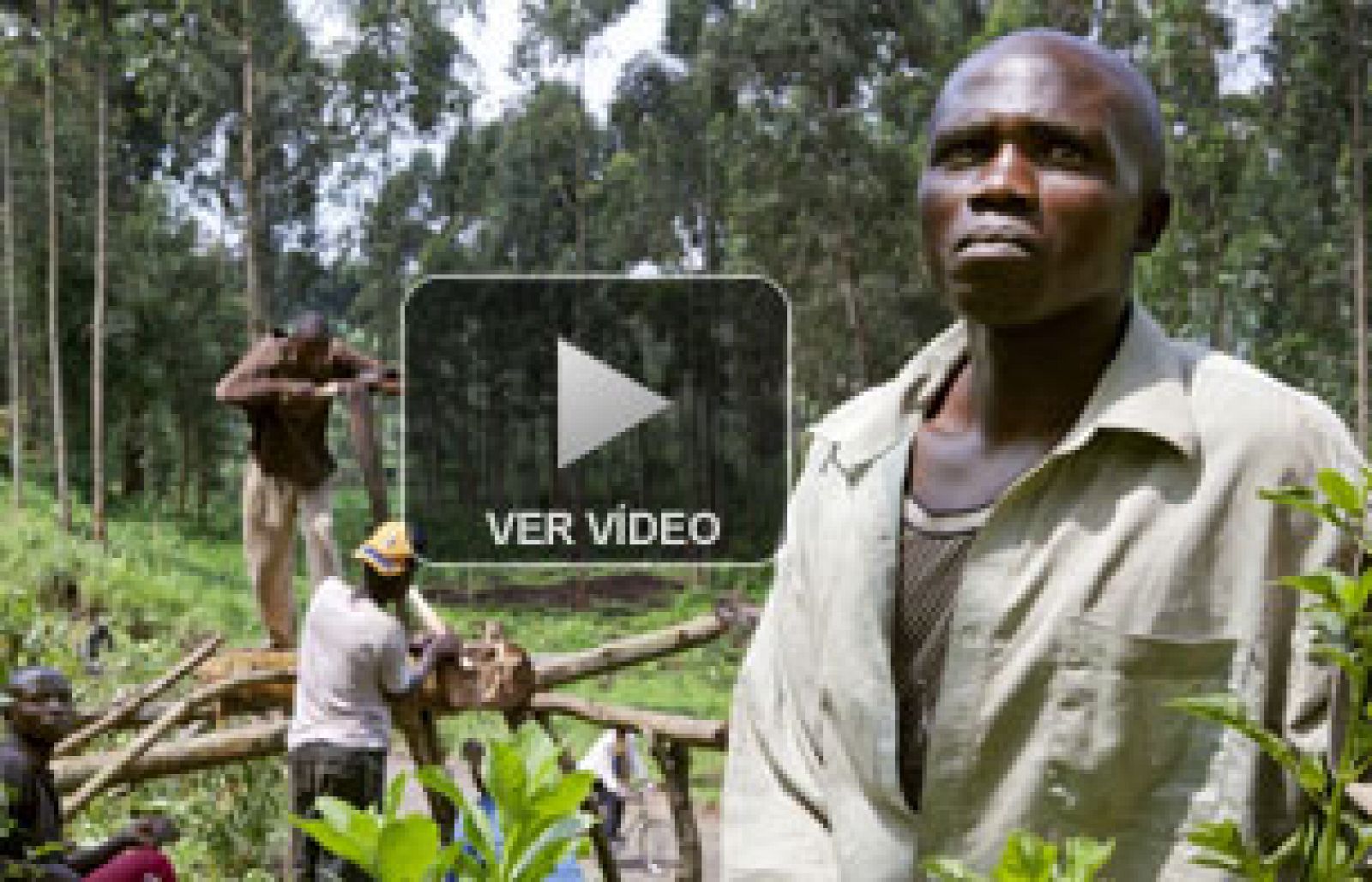 La historia de la huída de Mishoka | Ver