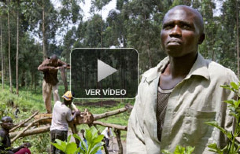 La historia de la huída de Mishoka | Ver