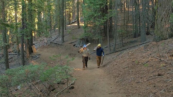 El aire de los tiempos - California
