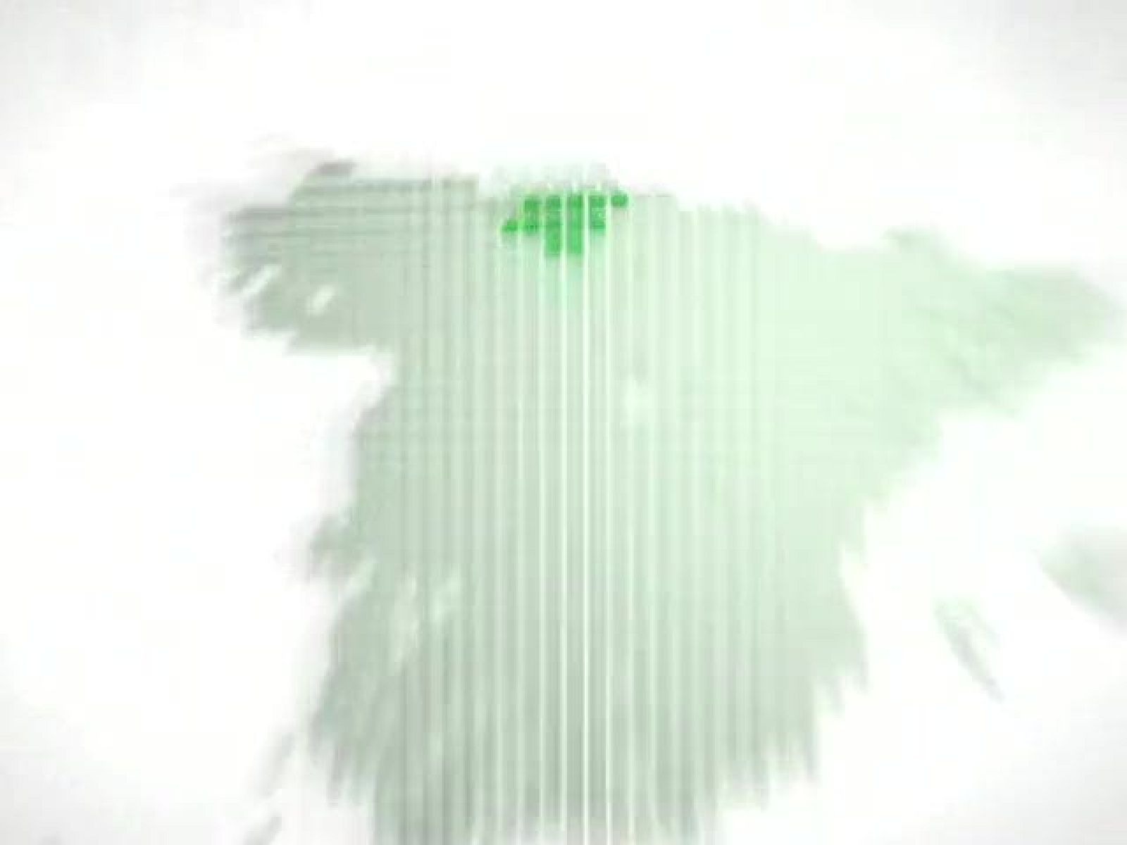 Telecantabria. Informativo de Cantabria (30/12/09)