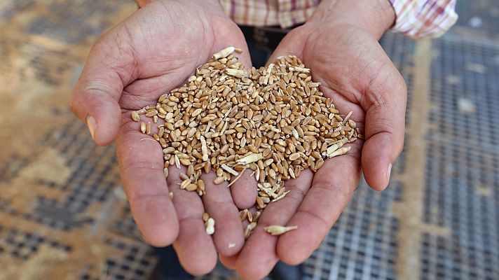La tarde en 24h - La tarde en 24 horas - 07/06/22 (2)