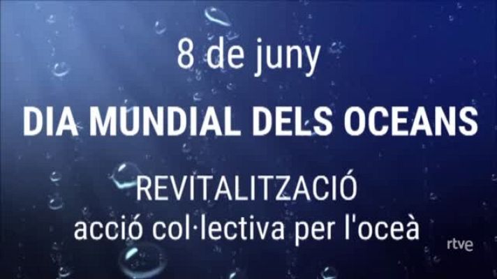  - Dia Mundial dels Oceans 2023