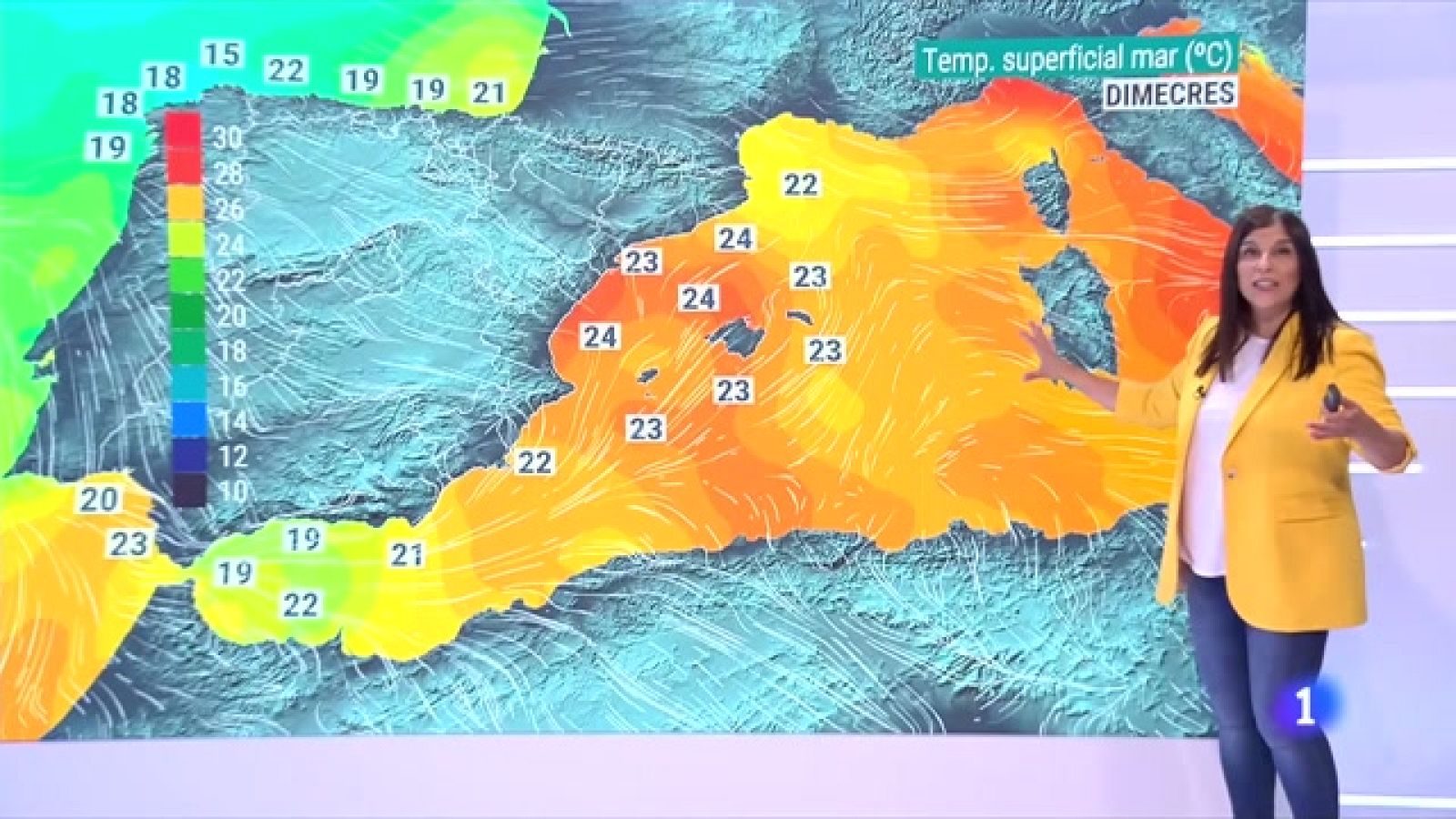 El Temps (08/06/2022) - Sol, ruixats, calor, temperatura aigua del mar i oceans