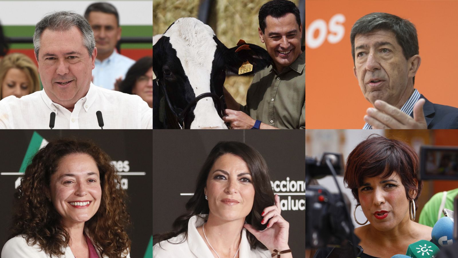 Los posibles pactos marcan una jornada de la campaña del 19J con la vaca "talismán" Fadi de protagonista