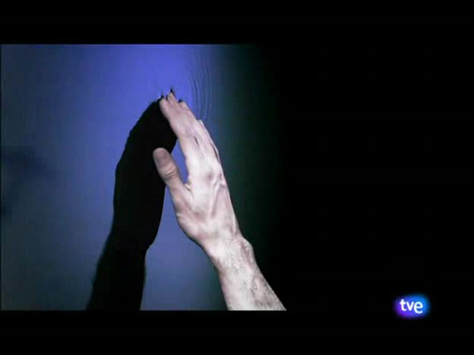 ¡Feliz 2010! V | Ver