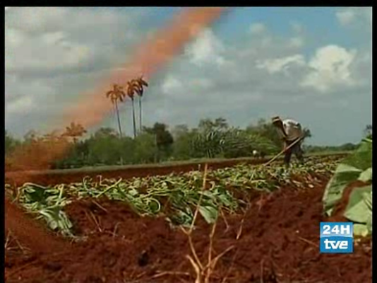  - La crisis de los alimentos