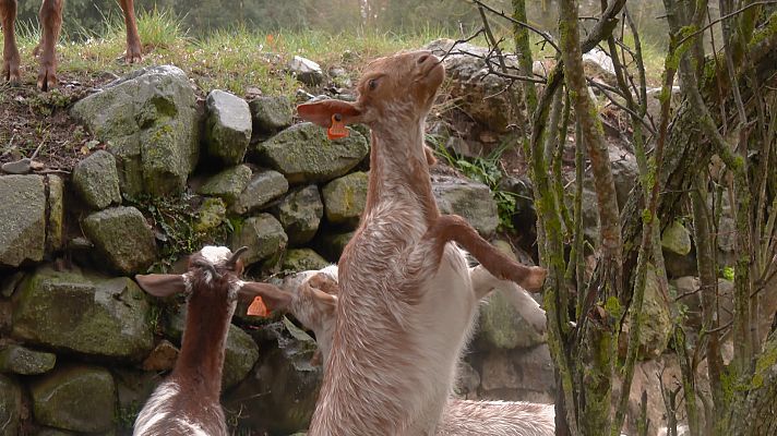 Aquí la Tierra - Aquí la Tierra - 08/06/22