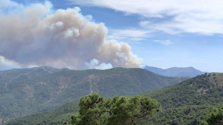 Telediario 2 - Desalojan a 60 personas por el incendio declarado en Sierra Bermeja, Málaga