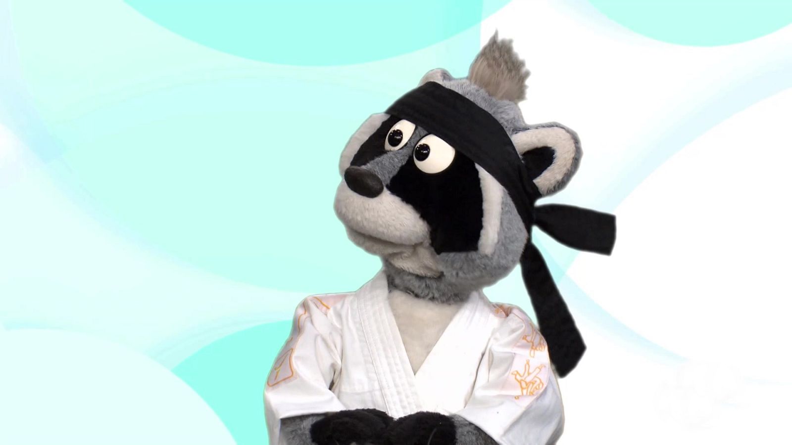 ¡El mapache japonés! - Aprendemos en Clan | Ver