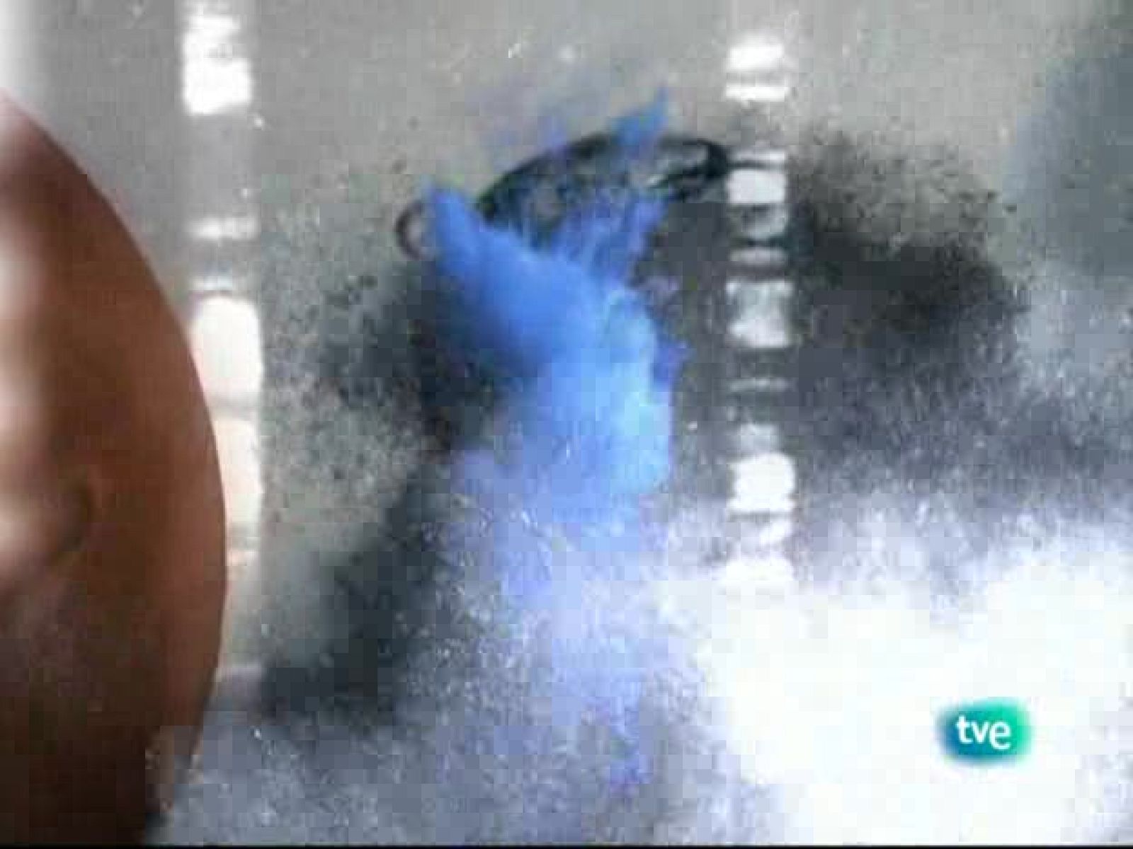 Tres 14 - inteligencia