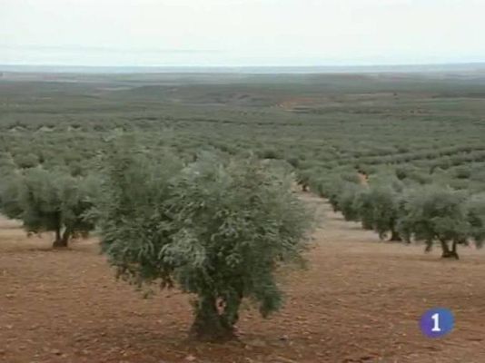 Noticias de Castilla-La Mancha - Noticias de Castilla-La Mancha - 04/01/10