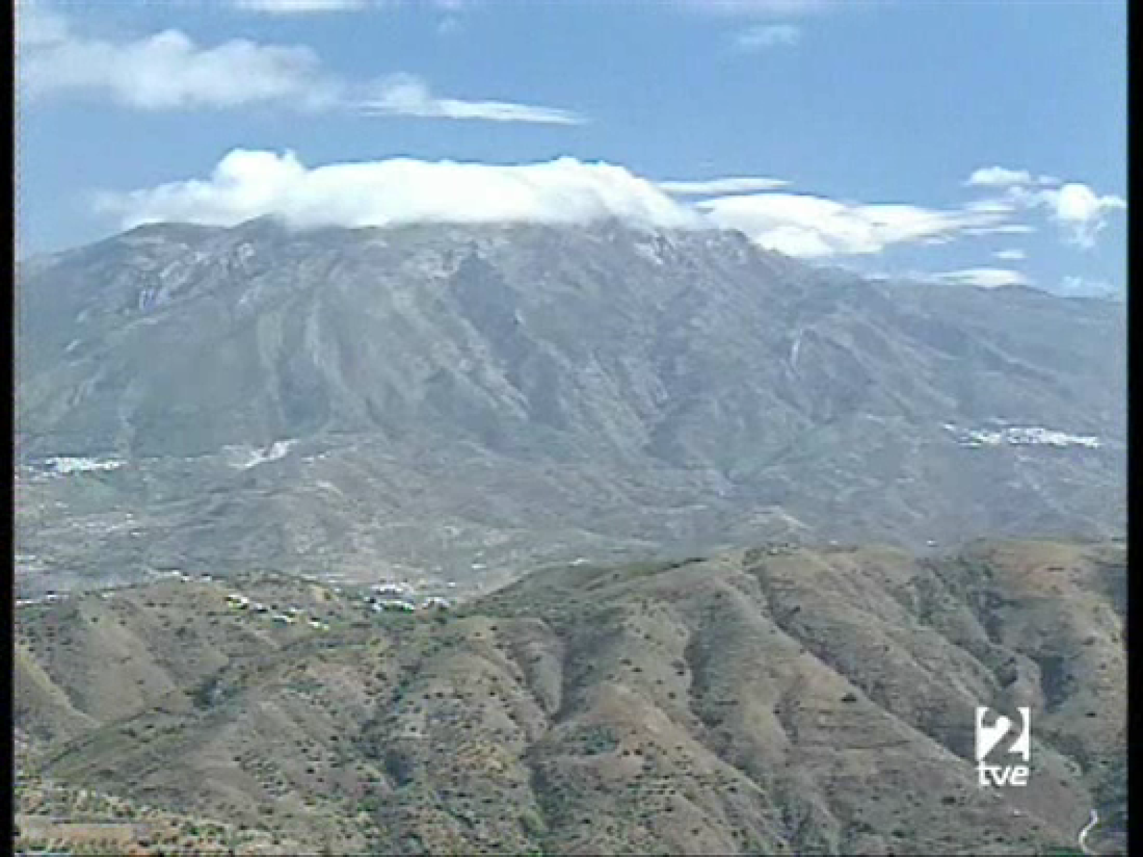A pedir de boca - Frutas tropicales de Málaga - A pedir de boca | Ver