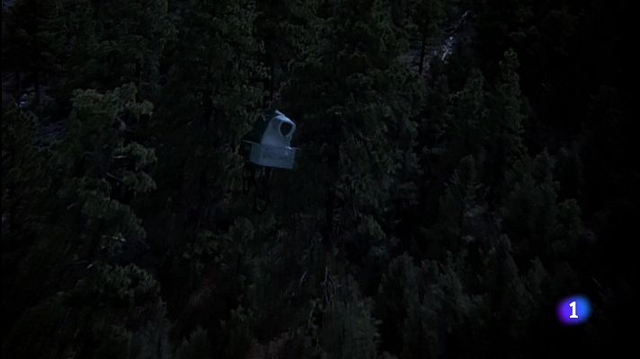 Telediario 1 - 'E.T. el extraterrestre' cumple 40 años