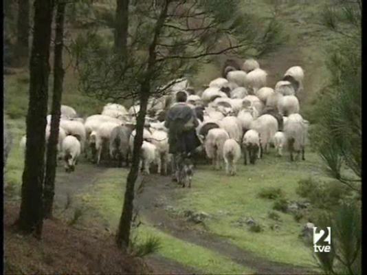 A pedir de boca - Quesos Flor de Guía y Herreño