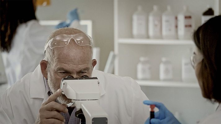 Apocalipsis de la Antigüedad - El imperio acadio