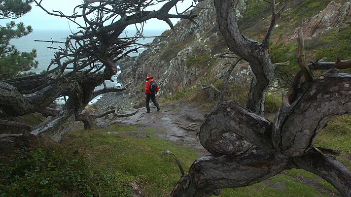 Turismo rural en el mundo - Suecia: la huella de los gigantes
