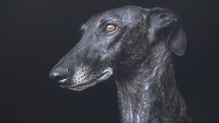 Telediario 1 - Arte y compromiso social en PhotoEspaña