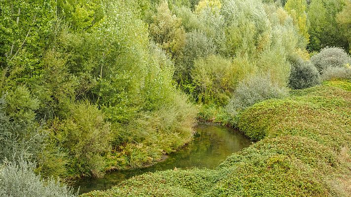 350.000 paladas - La ribera del Esla y sus monumentos