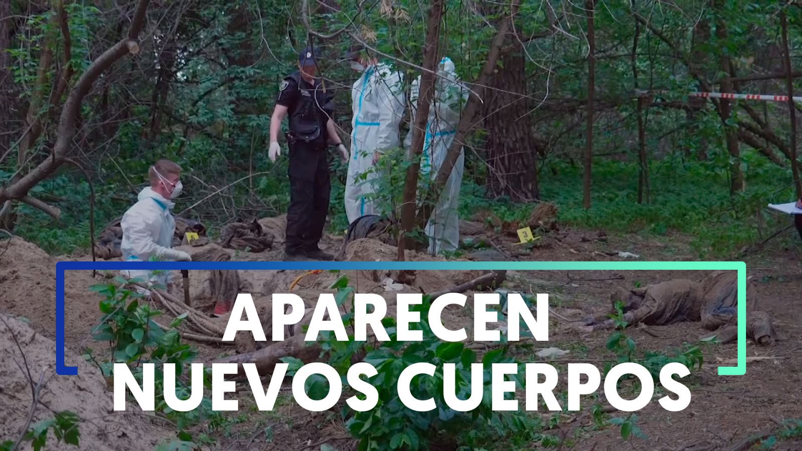 Hallan siete cuerpos con las manos atadas en una fosa común cerca de Bucha - Ver ahora