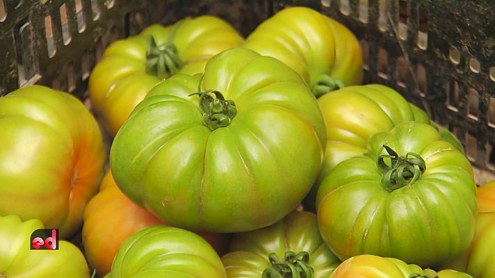 España Directo - España Directo - 14/06/22