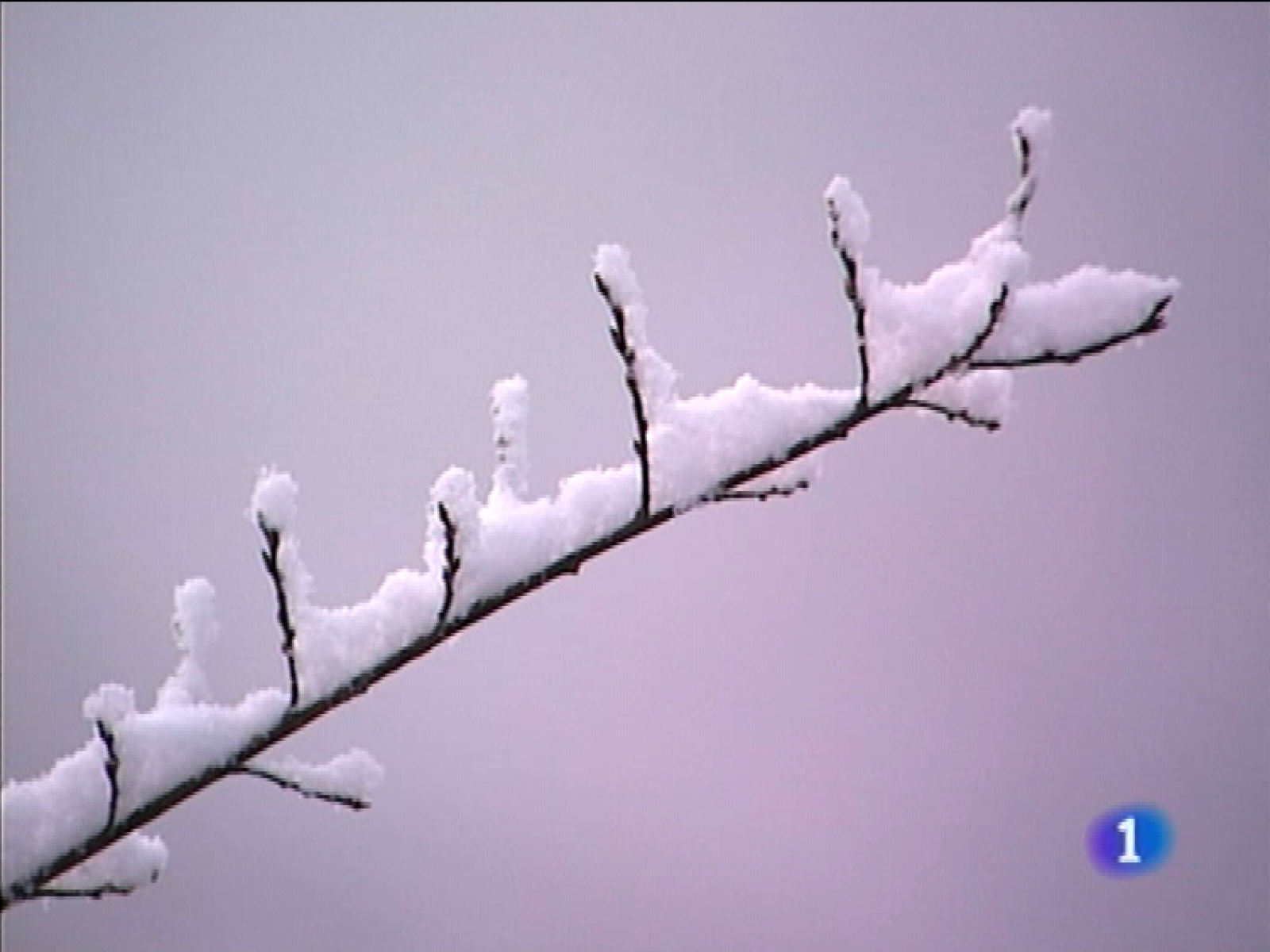 Panorama regional - 07/01/10 - Panorama Regional | Ver