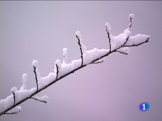 Panorama Regional - Panorama regional - 07/01/10