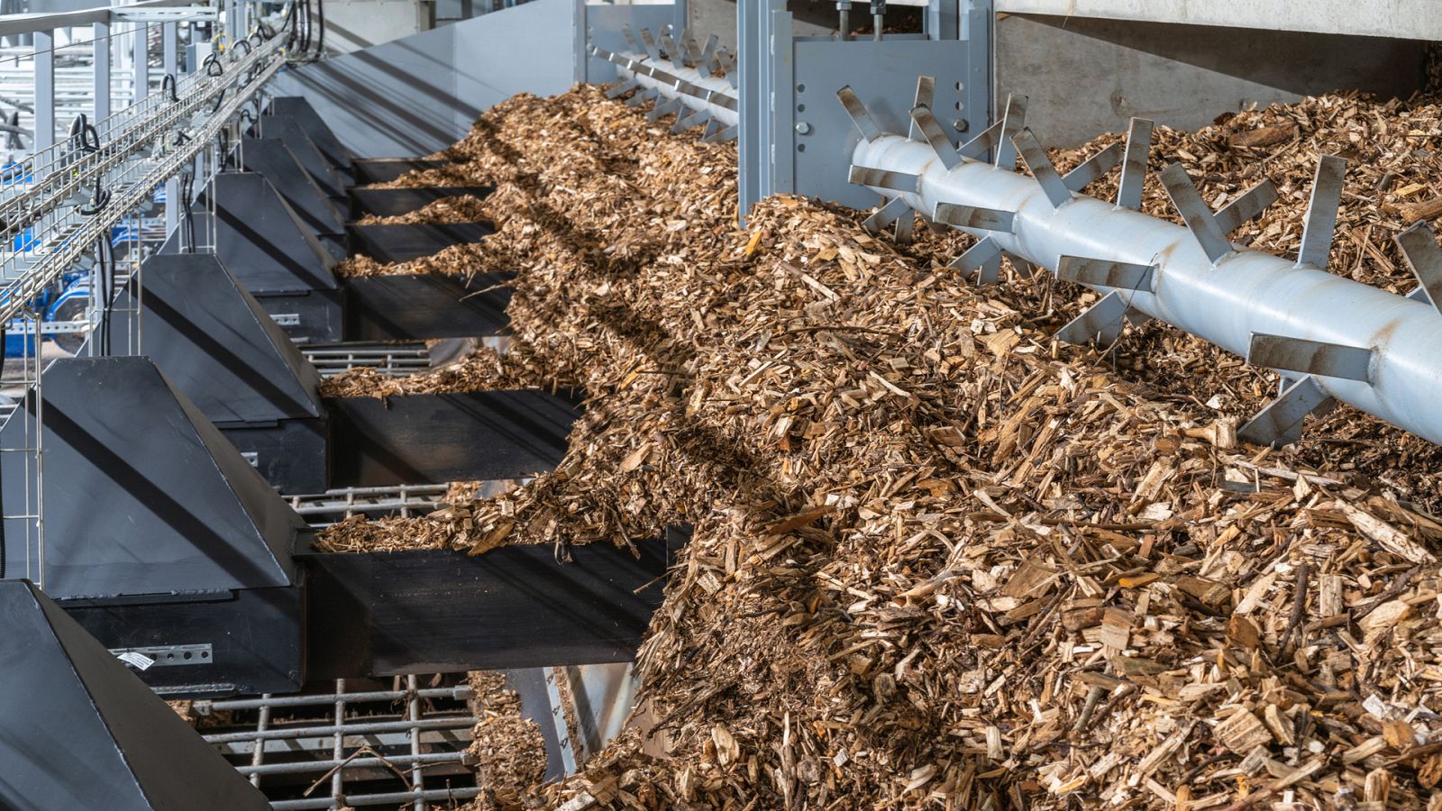 El bosque protector - Biomasa forestal  - ver ahora