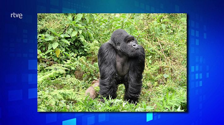 Saber y ganar - Saber y ganar - 15/06/22