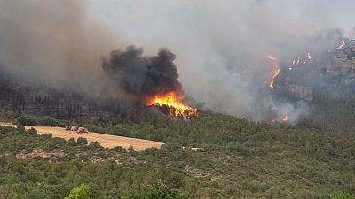 La ola de calor complica la extinci�n de los incendios forestales en Catalu�a, Navarra y Zamora