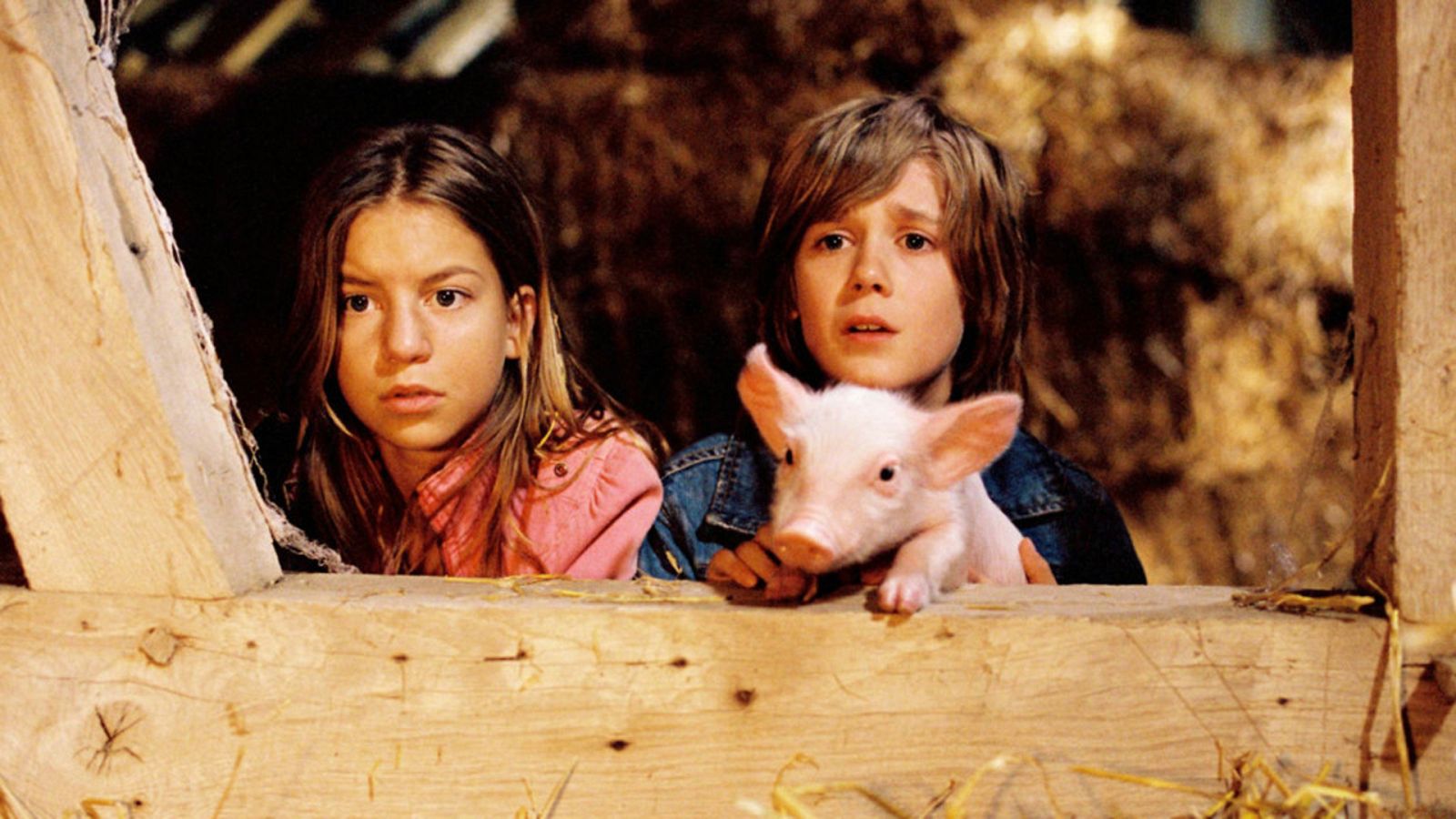 Cine infantil - Rudy, el cerdito de carreras - Ver ahora