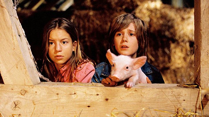 Cine internacional - Rudy, el cerdito de carreras