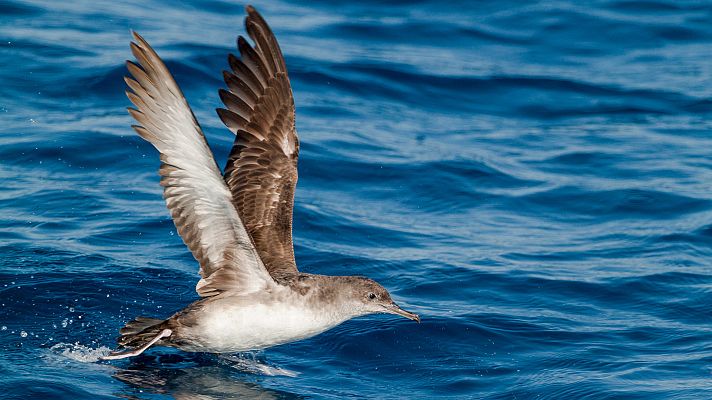 Somos Documentales - Menorca, Reserva de la Biosfera