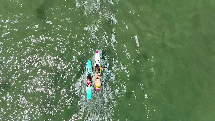 Surfing.es - T5 - Programa 20