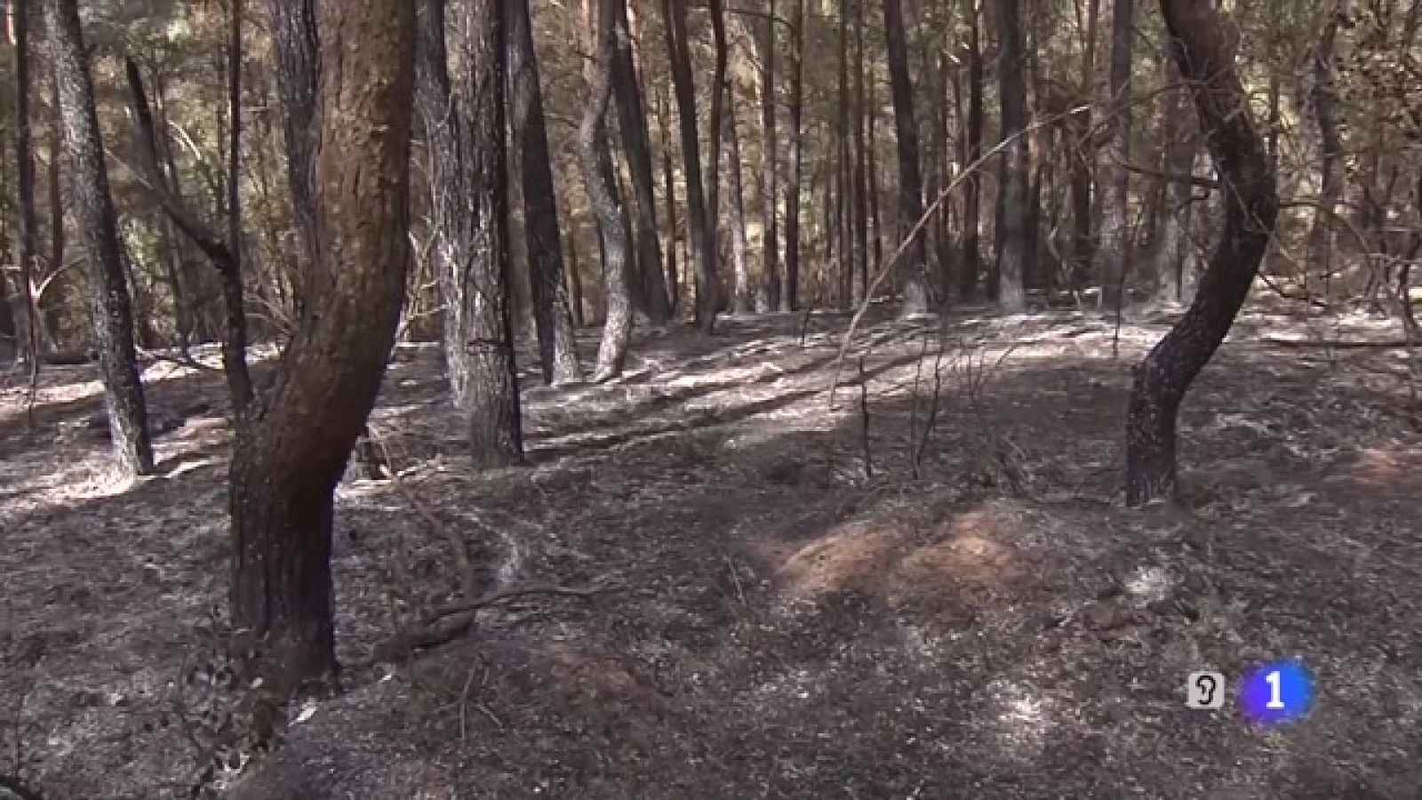 L'Informatiu 2 - 17/06/2022