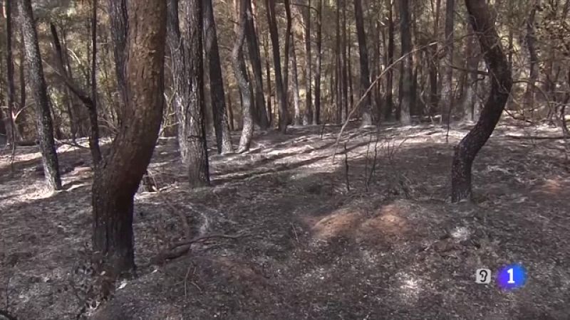 L'Informatiu 2 - 17/06/2022