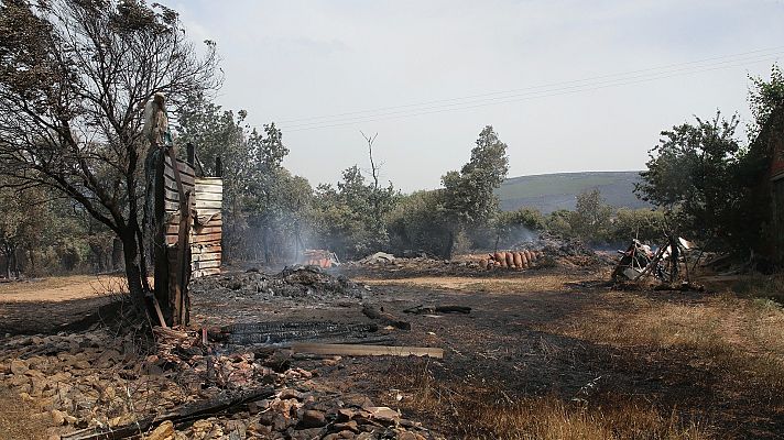 Telediario 2 - La ola de calor provoca decenas de fuegos por toda España